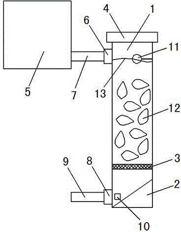 Mactra veneriformis conditioning accelerator