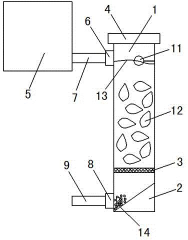 Mactra veneriformis conditioning accelerator