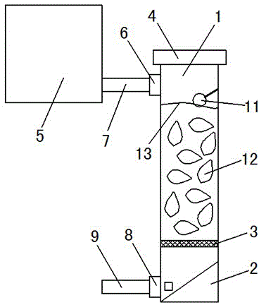 Mactra veneriformis conditioning accelerator