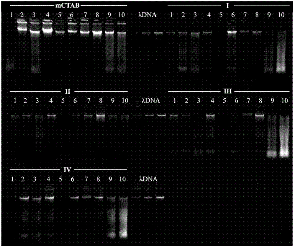 Method for extracting plant deoxyribonucleic acid (DNA) and special kit thereof