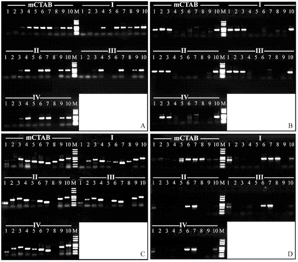 Method for extracting plant deoxyribonucleic acid (DNA) and special kit thereof