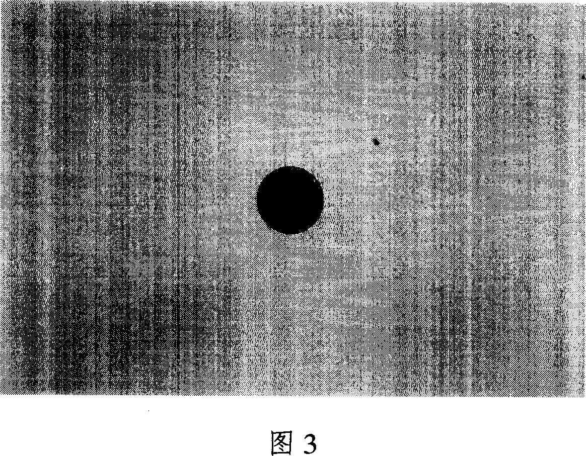 Method for slaking oocyte transparent tape