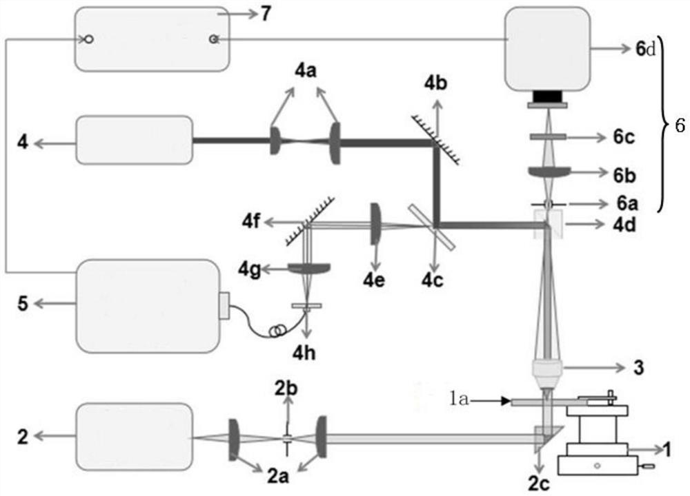 A rapid detection system and method for microplastics in offshore sediments