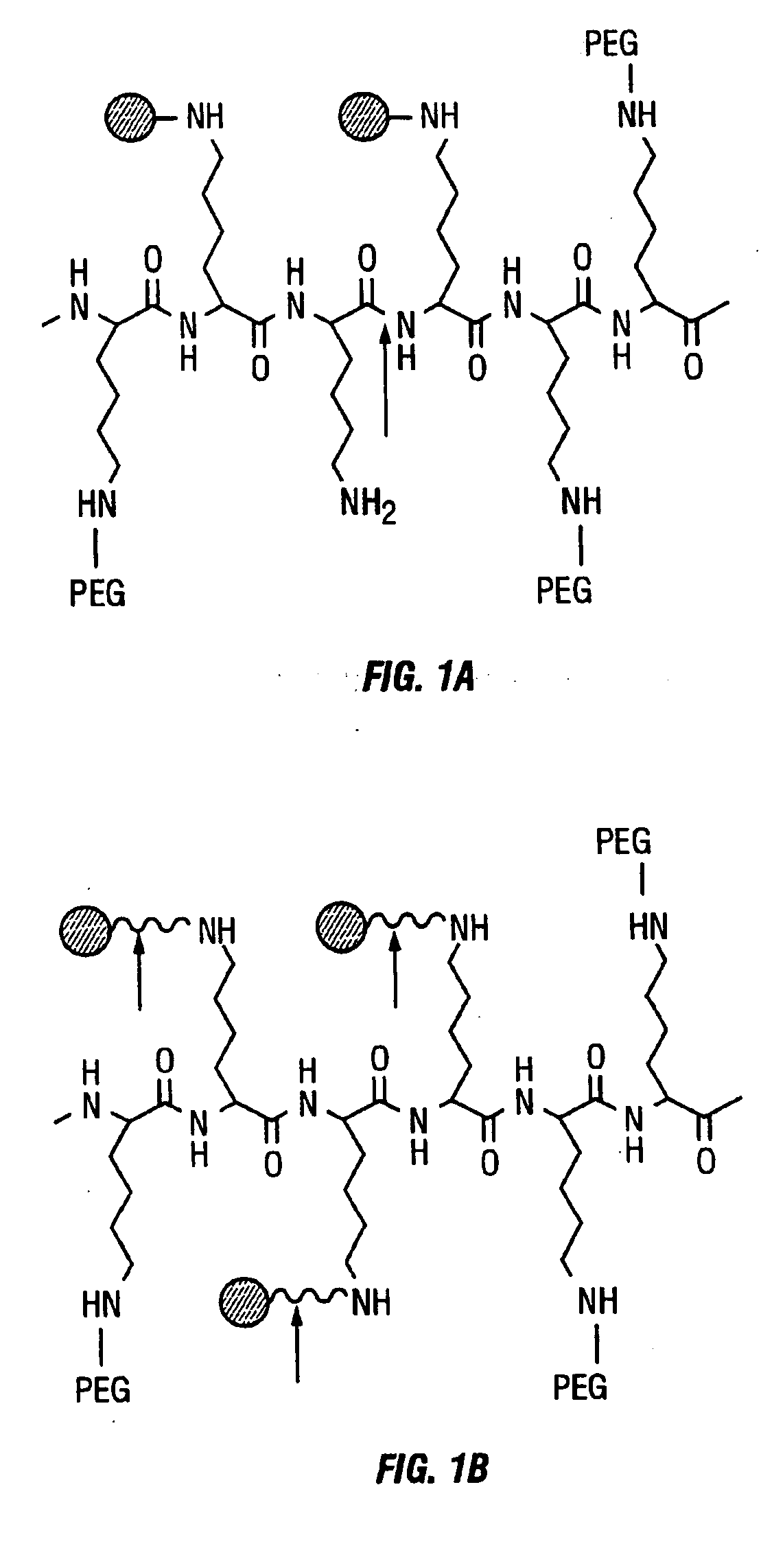 Activatable imaging probes