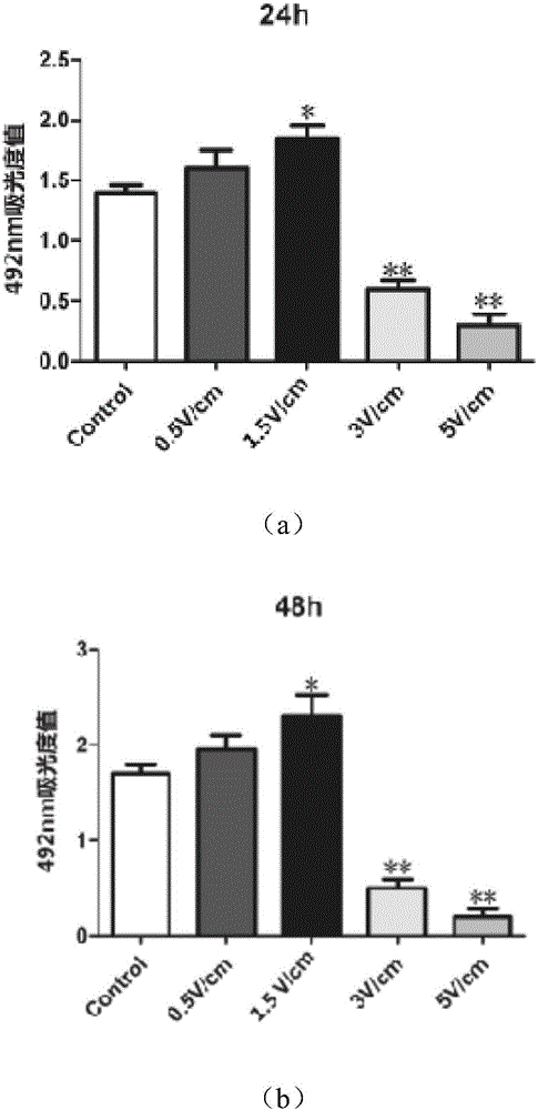 Method and device for inducing bone marrow mesenchymal stem cell differentiation and proliferation