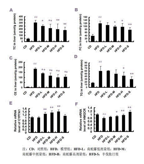 Application of celastrus orbiculatus alcohol extract in preparing medicine for treating non-alcoholic fatty liver disease (NAFLD)