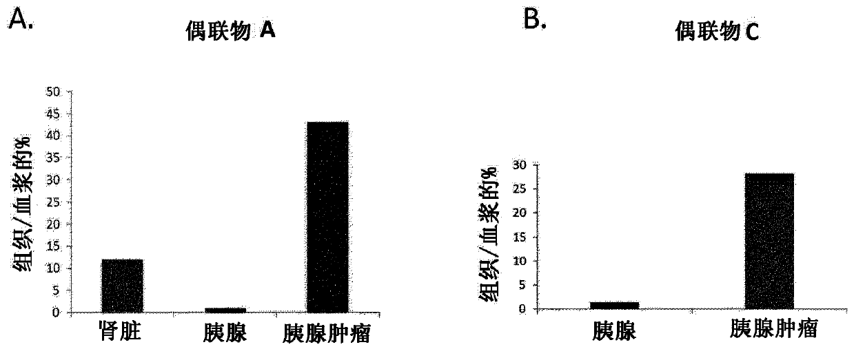 Compositions and methods for cancer imaging and radiotherapy