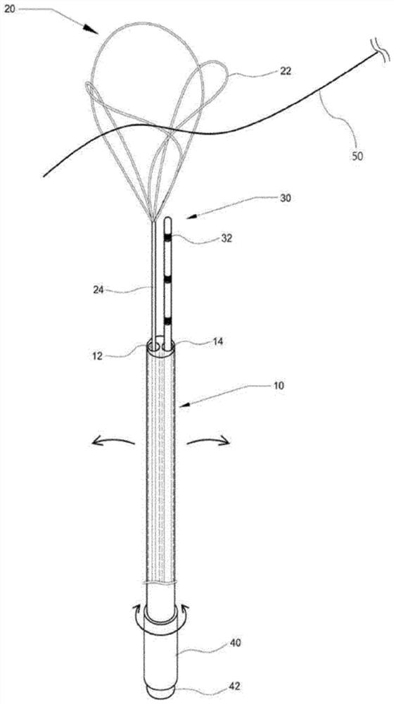 His bundle-detecting snare catheter