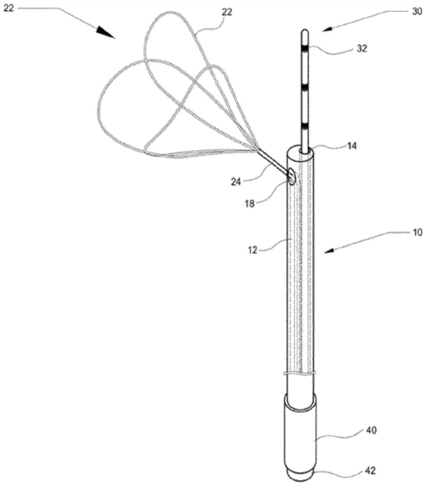 His bundle-detecting snare catheter