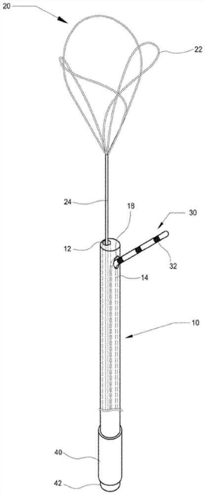 His bundle-detecting snare catheter