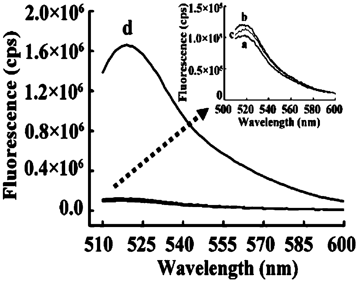 DNA Structure Probe Based on Nucleic Acid Isothermal Amplification Technology to Detect Mercury Ions