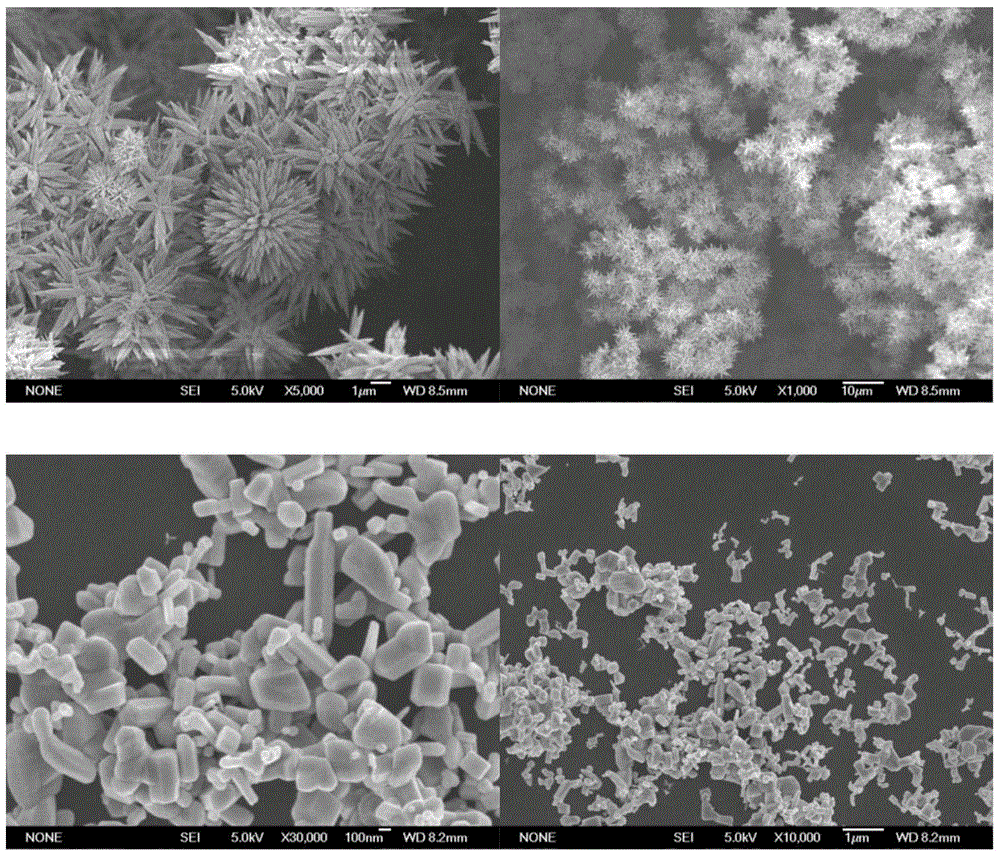 Saturated Precursor Dilution Method for Preparation of Zinc Oxide with Micro-nano Composite Morphology