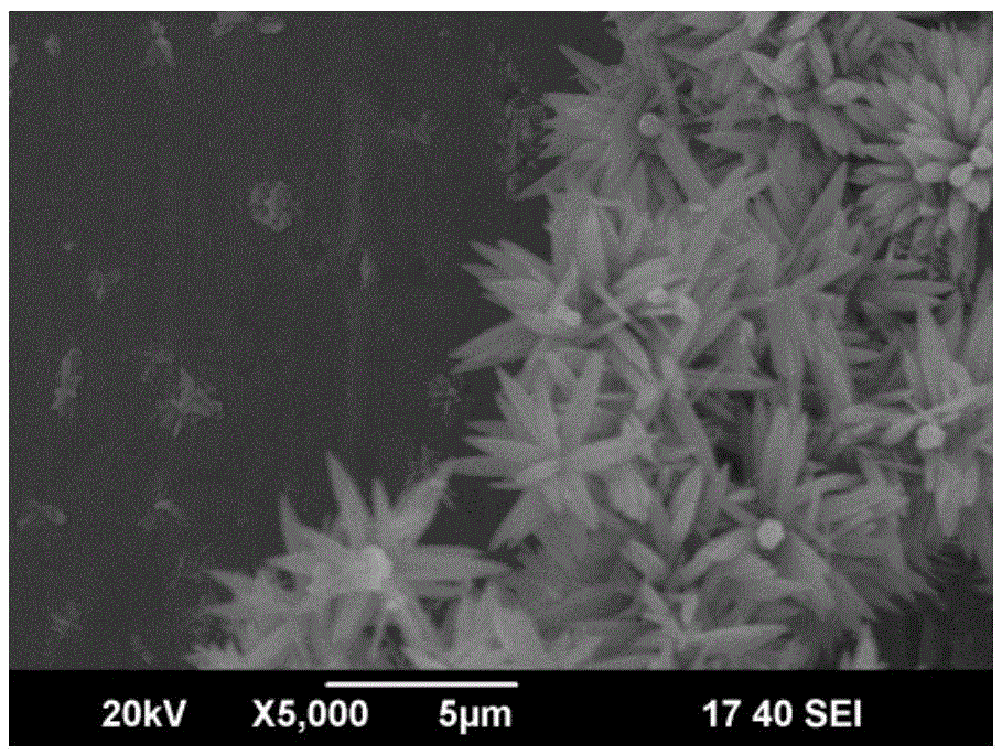 Saturated Precursor Dilution Method for Preparation of Zinc Oxide with Micro-nano Composite Morphology