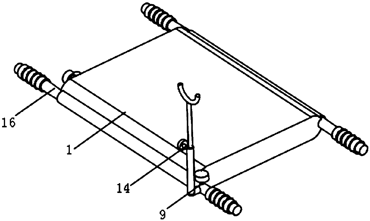 Nursing device for emergency rescue