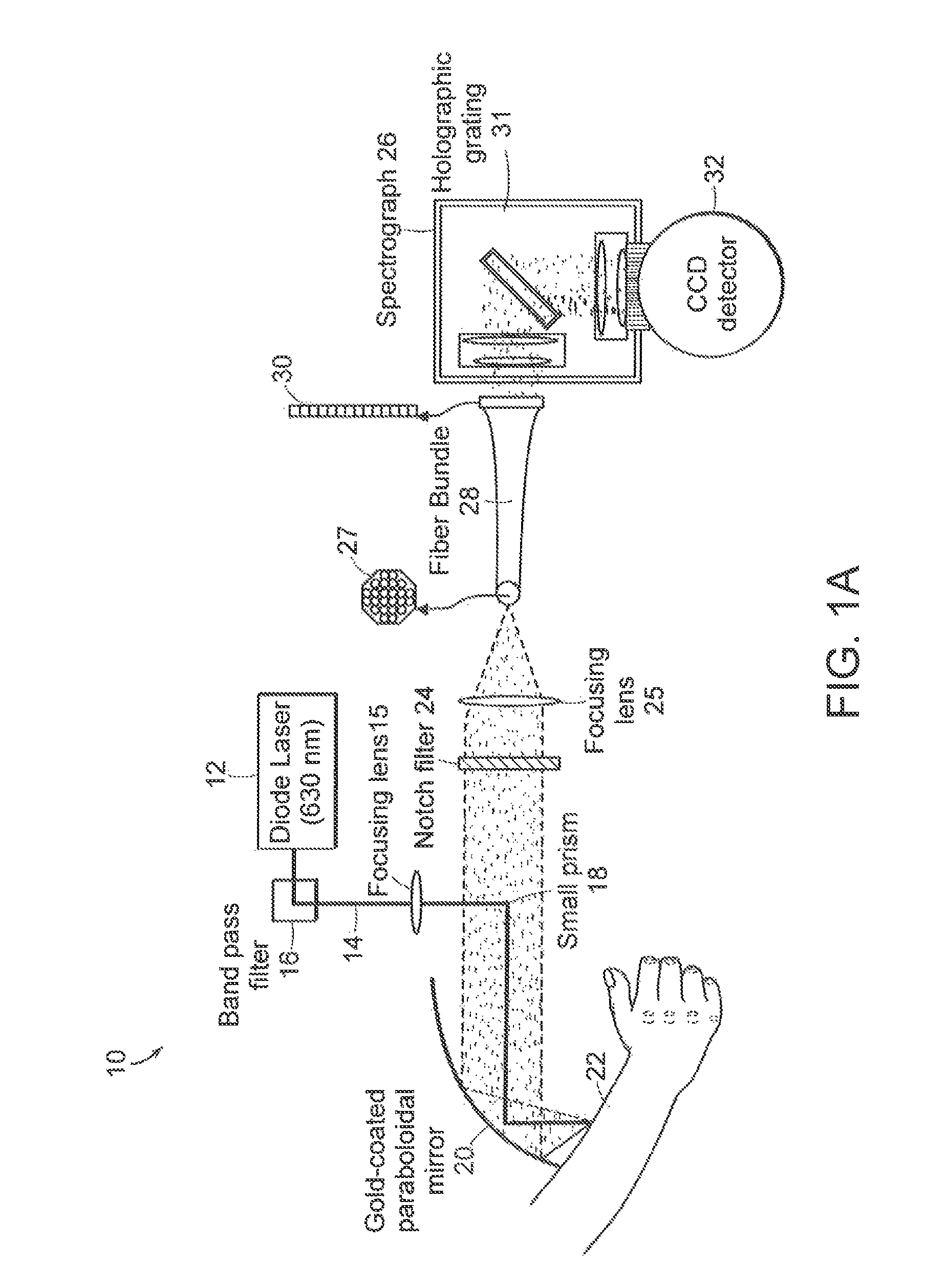 Raman spectroscopy for non-invasive glucose measurements