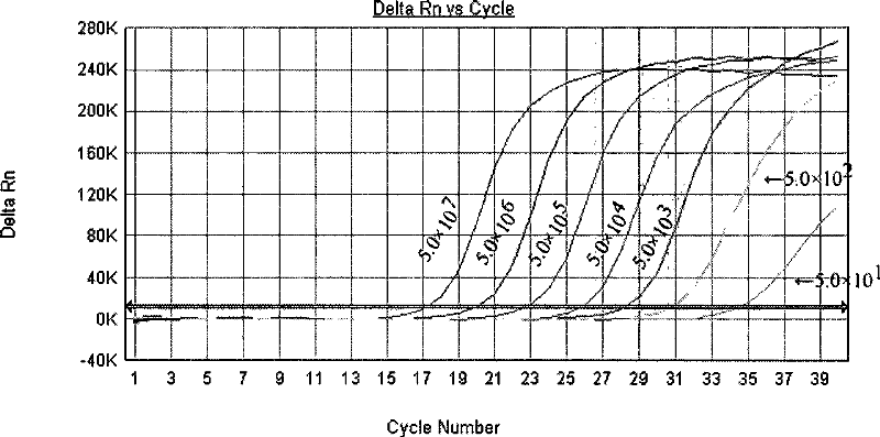 Primers, probes and kits for detection of coxsackie virus a16 nucleic acid