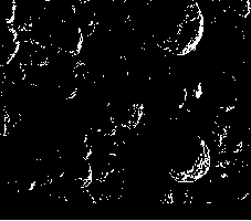 A kind of preparation method of graphene modified visible wear-resistant coating