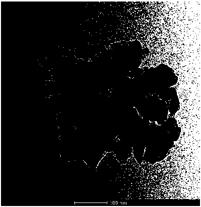 Preparation method of lithium ion battery nanoporous silicon negative electrode material