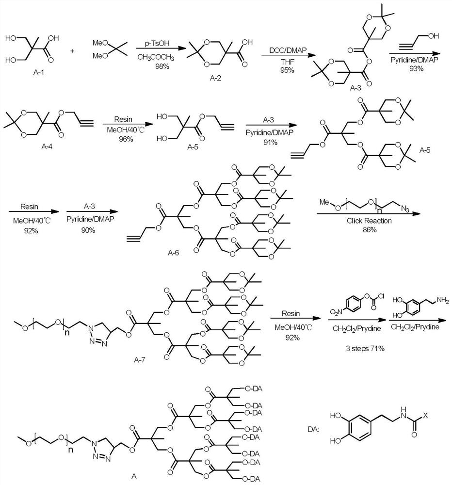 A kind of phthalic dihydroxy polymer carrier and its application in the construction of drug complex nano-delivery system