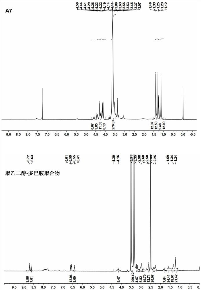 A kind of phthalic dihydroxy polymer carrier and its application in the construction of drug complex nano-delivery system