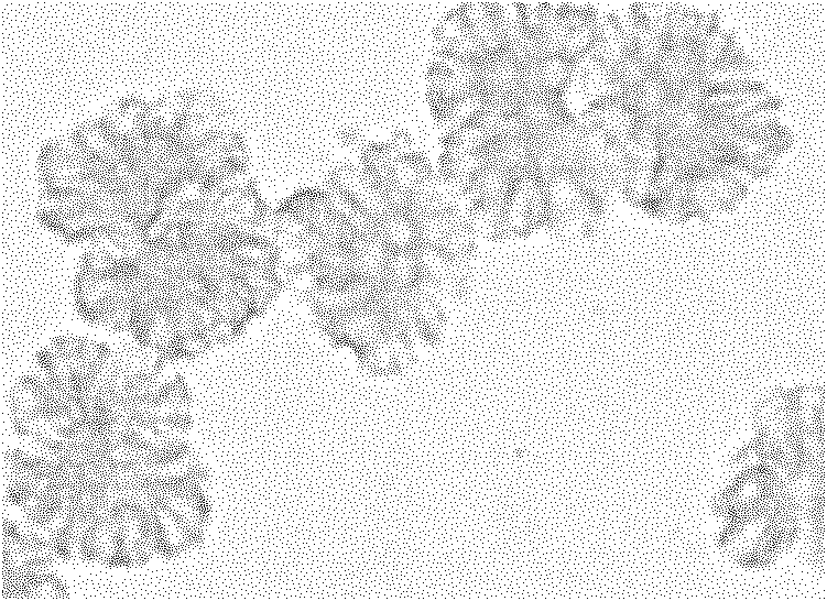 Method for extracting oil from microalgae by utilizing ionic liquid