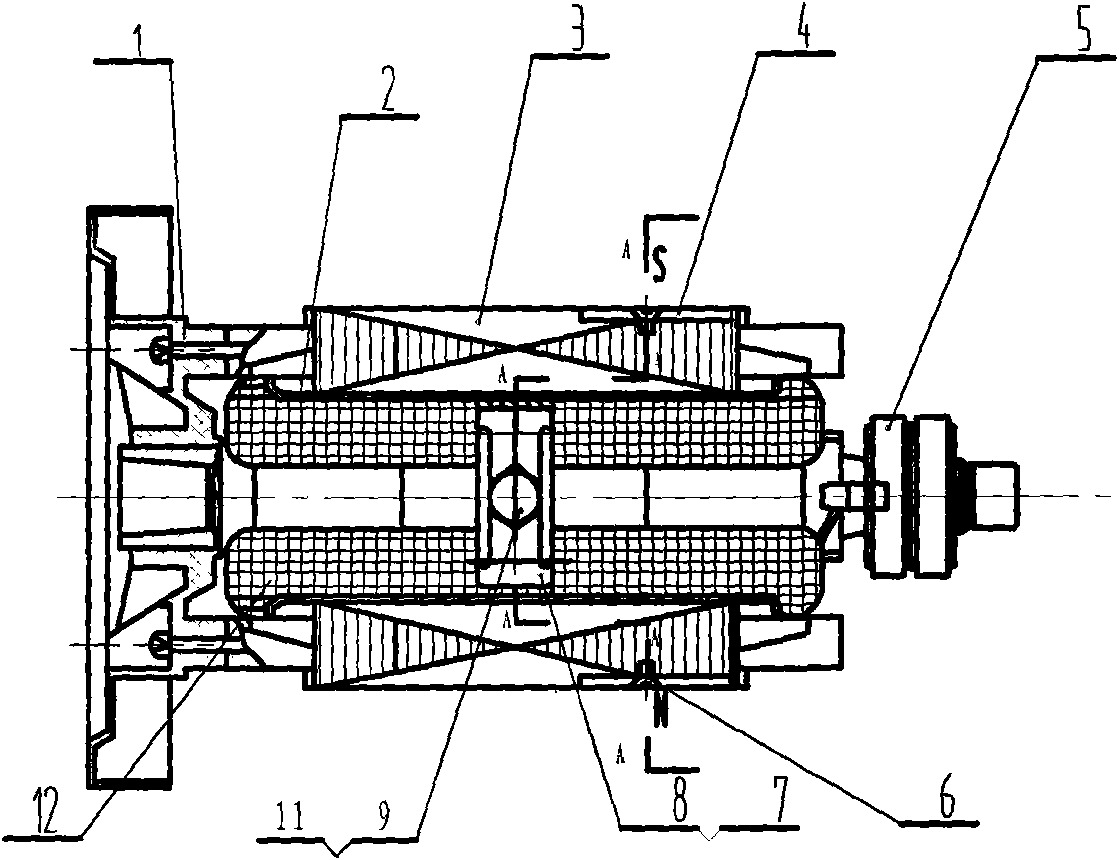 Composite excitation generator rotor