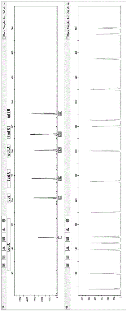 A fluorescent-labeled multiple PCR Clostridium difficile detection kit