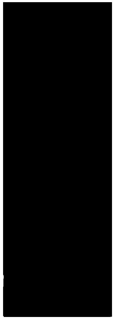 Neomycin semi-quantitative gold-labeled rapid detection kit, and detection method and application thereof