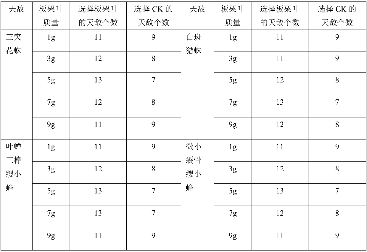 Method for restricting tea garden empoasca vitis Gothe by intercropping Chinese chestnut trees