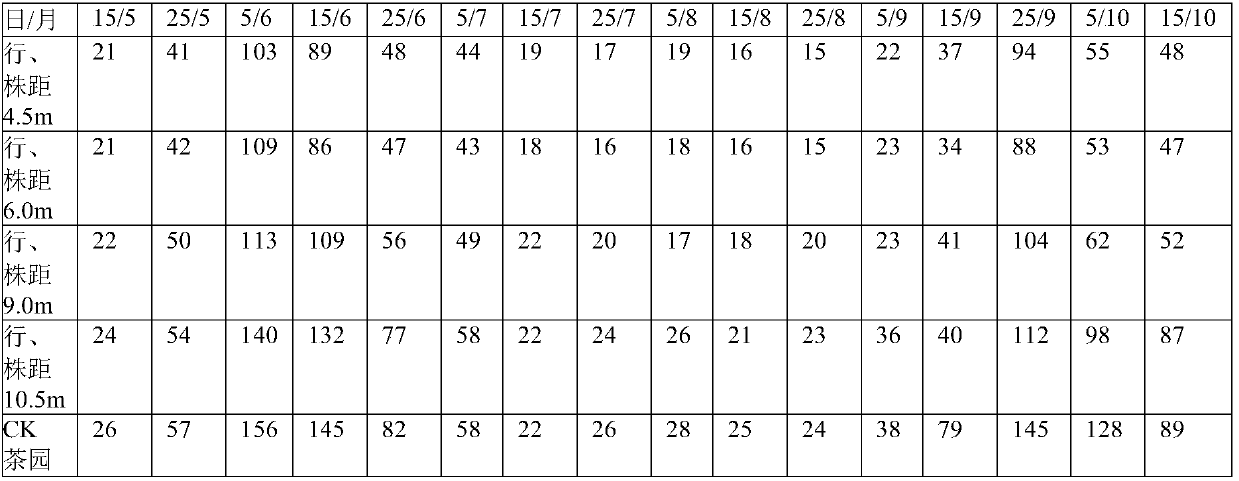 Method for restricting tea garden empoasca vitis Gothe by intercropping Chinese chestnut trees