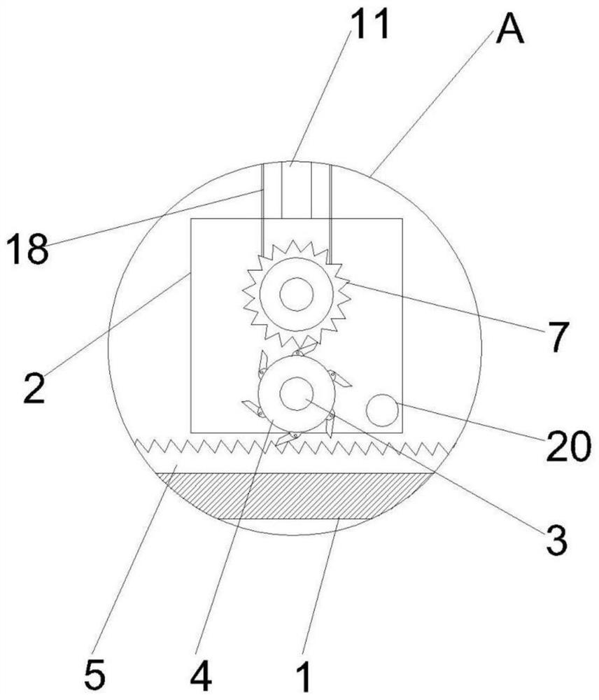 Freezing slicer for botany experiment