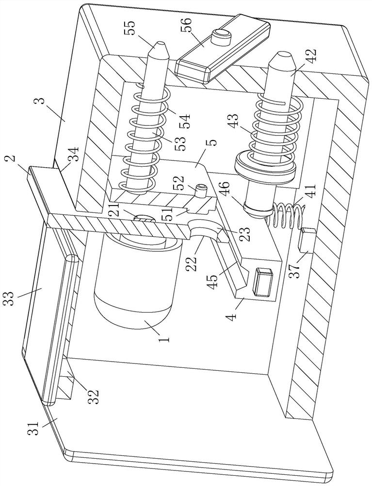 Image recognition system light source device