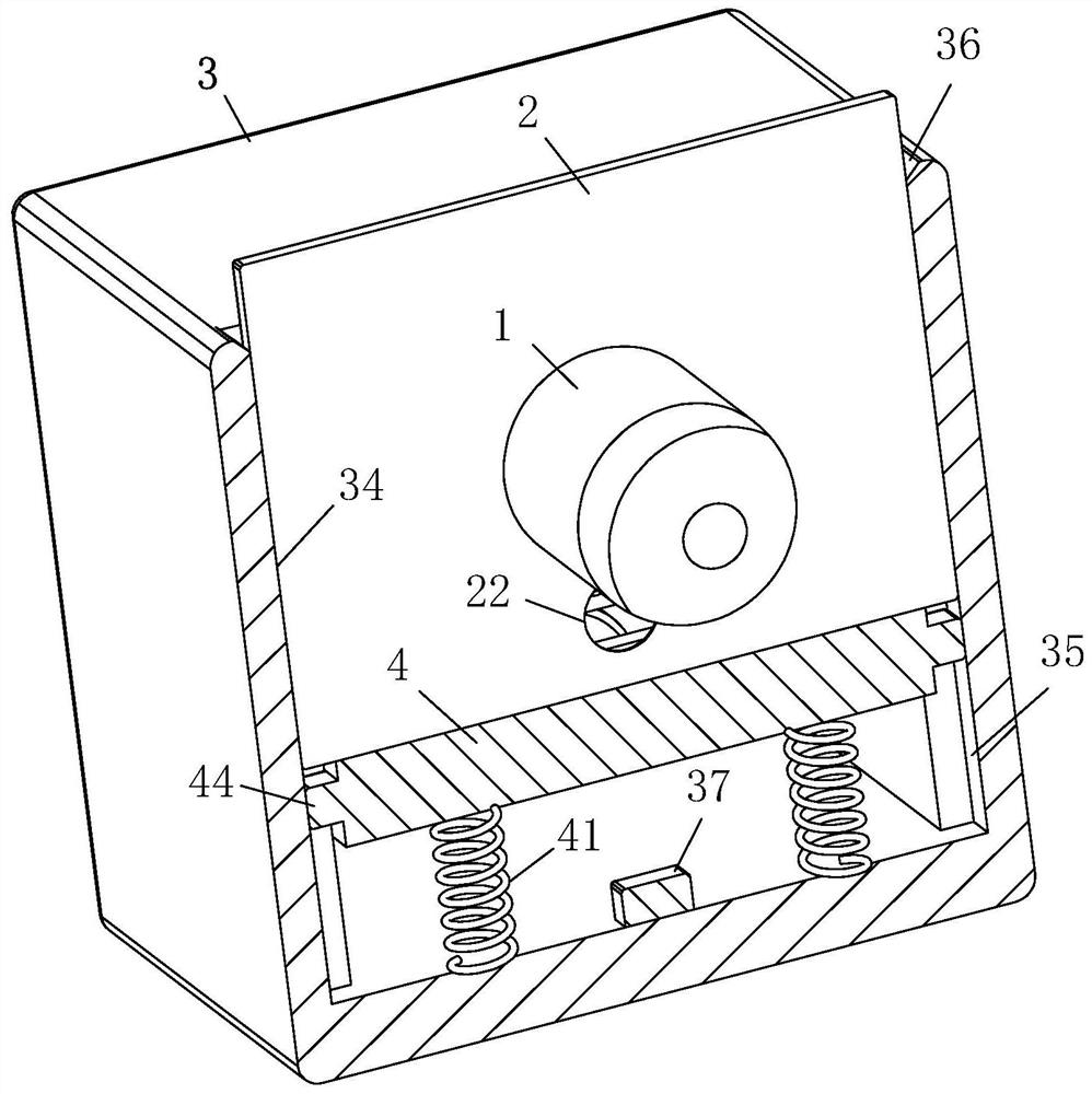 Image recognition system light source device