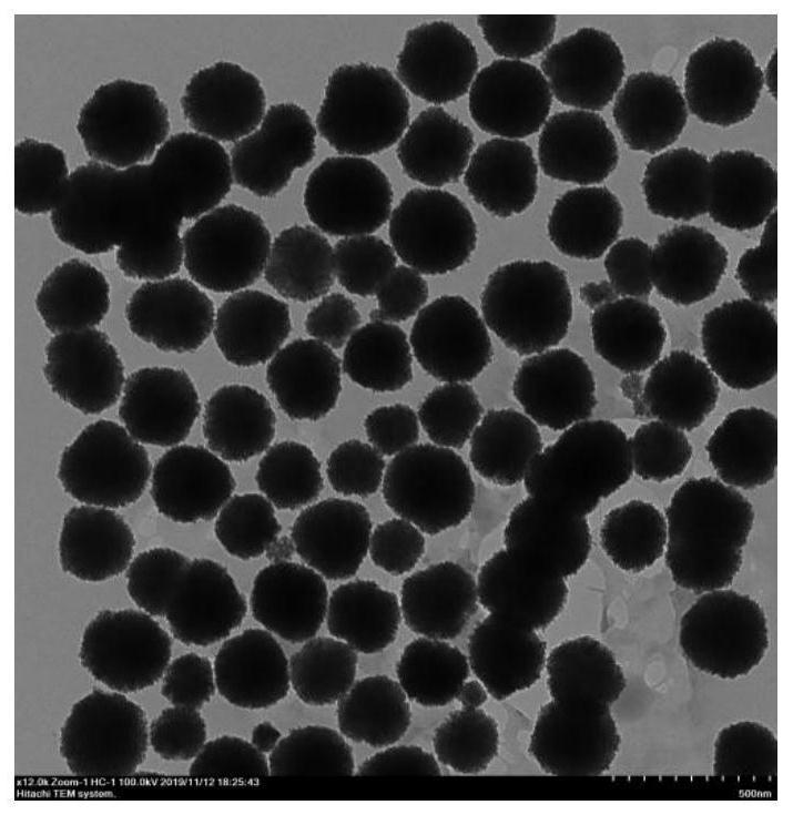 A kind of monodisperse superparamagnetic carboxyl silicon magnetic bead and preparation method thereof