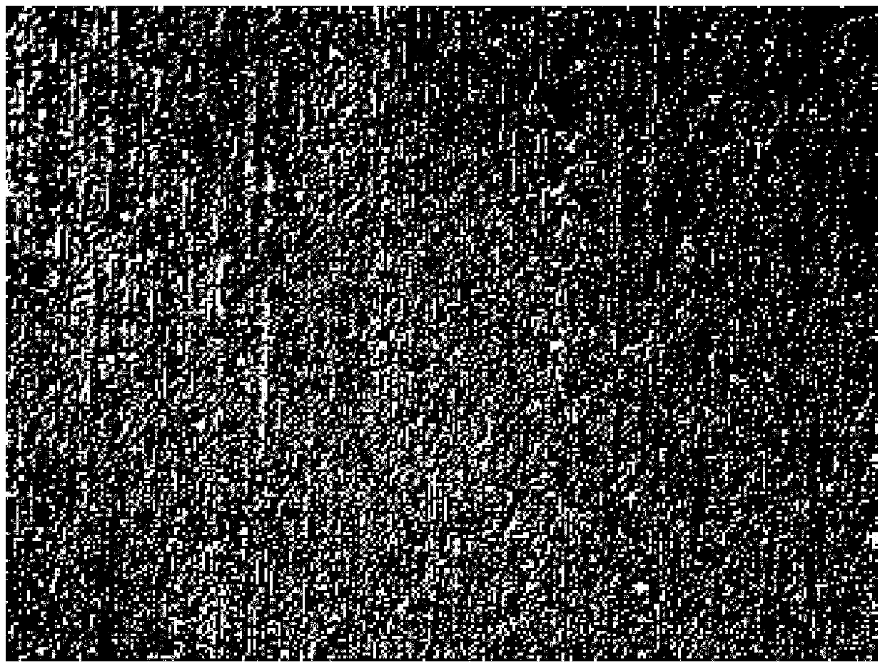 Graphene film, its preparation method and use