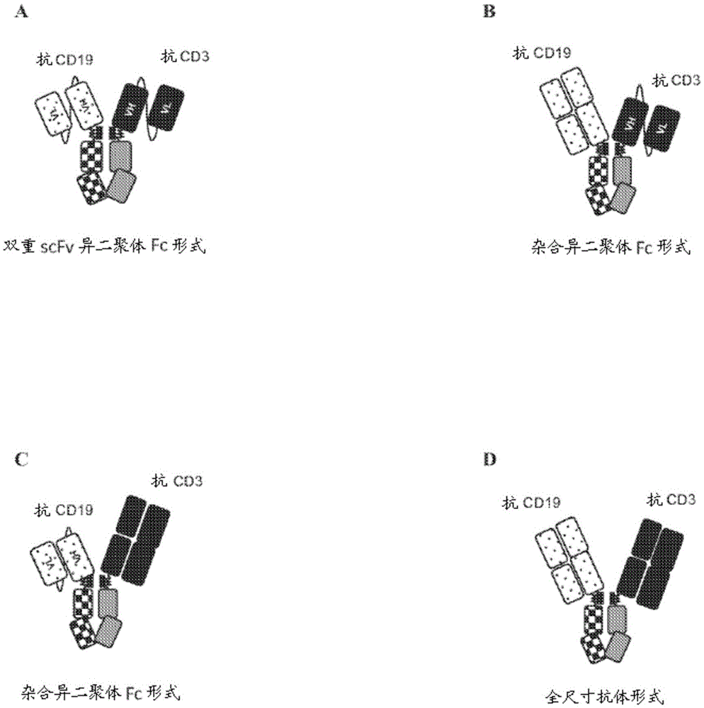 Bispecific CD3 and CD19 antigen binding constructs