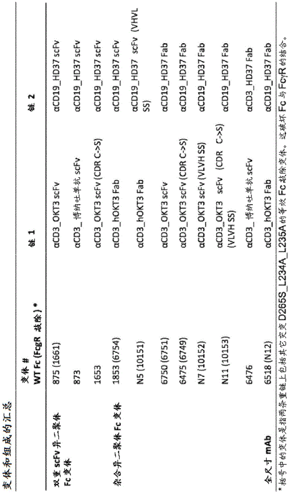 Bispecific CD3 and CD19 antigen binding constructs