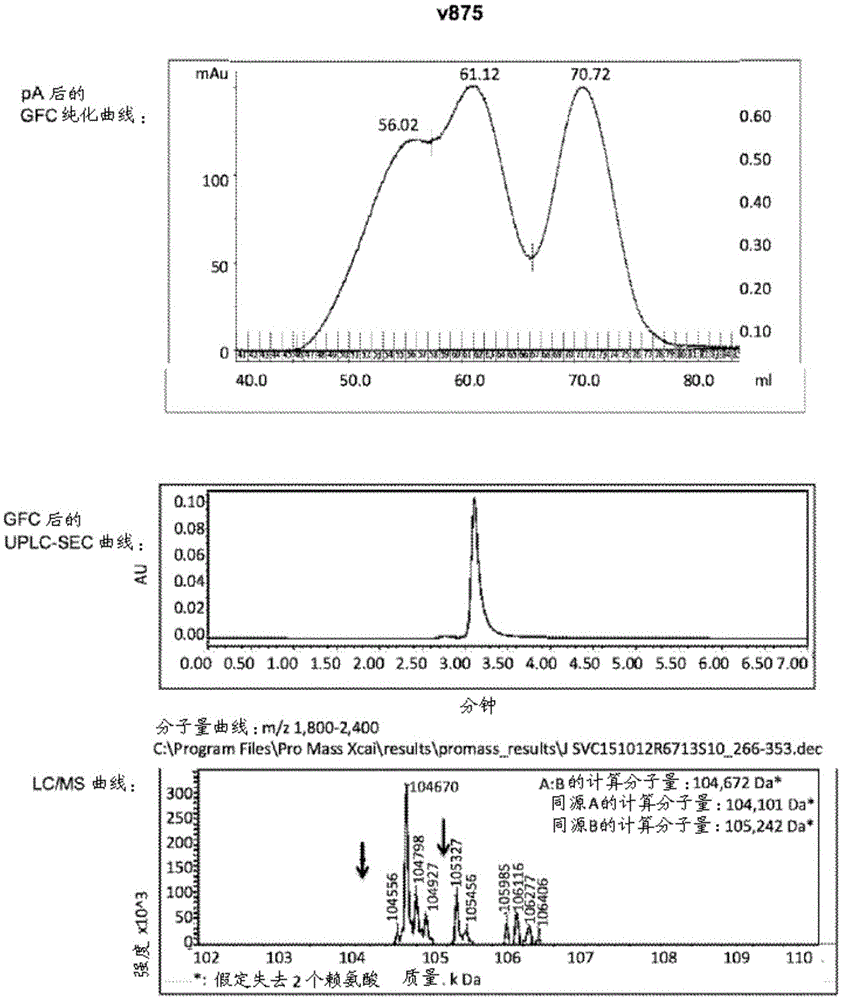 Bispecific CD3 and CD19 antigen binding constructs