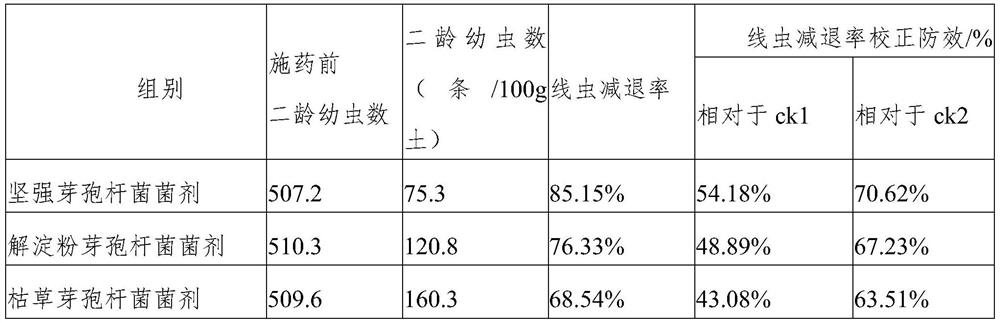 Fermentation preparation of bacillus firmus for preventing tobacco root knot nematode and applications