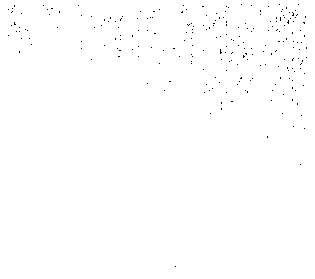 Preparation method of carbon quantum dot test paper strip for detecting P24 antigen