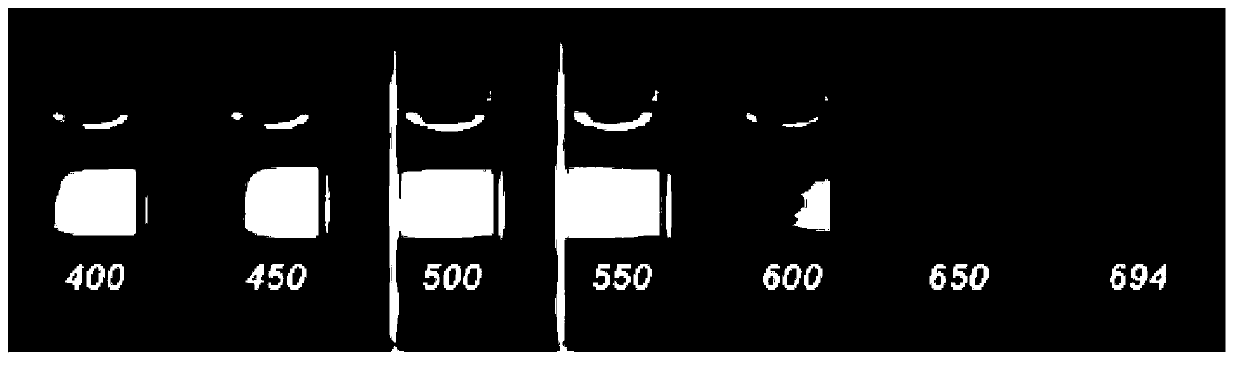 Preparation method of carbon quantum dot test paper strip for detecting P24 antigen