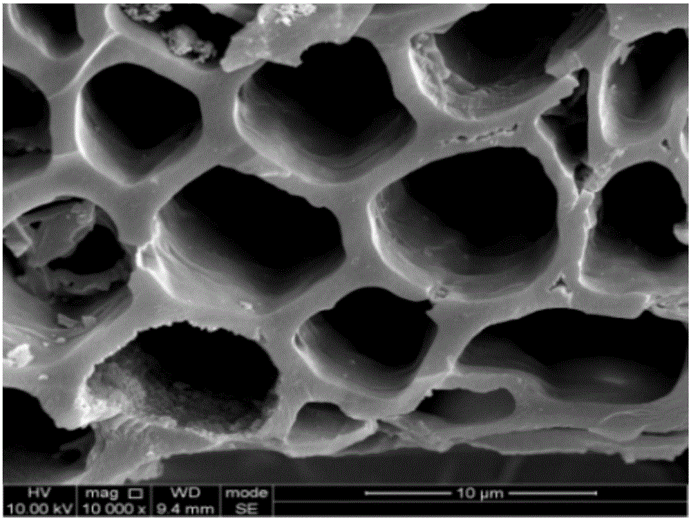 Preparation method and application of biochar-based carrier modified through high-temperature alkalization