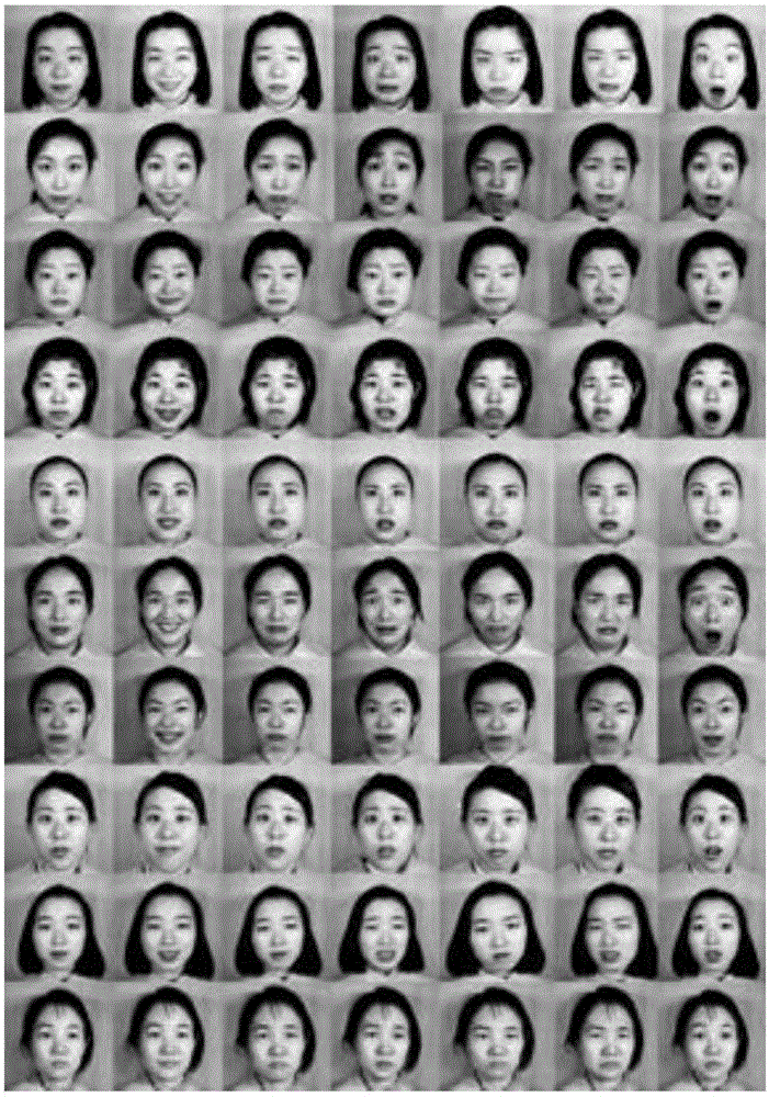 Facial emotion recognition method based on depth sparse self-encoding network