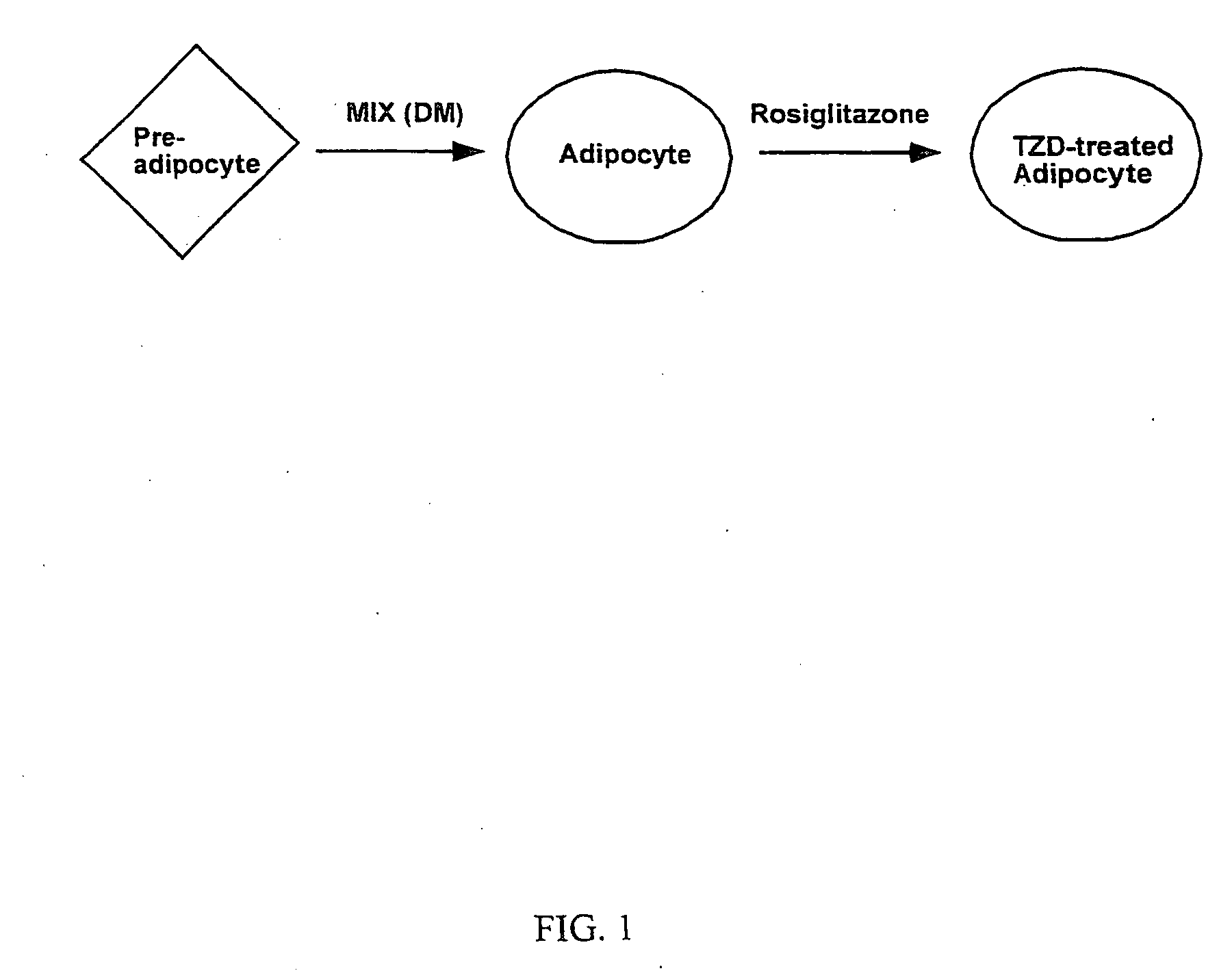 Compositions, methods, and kits relating to resistin