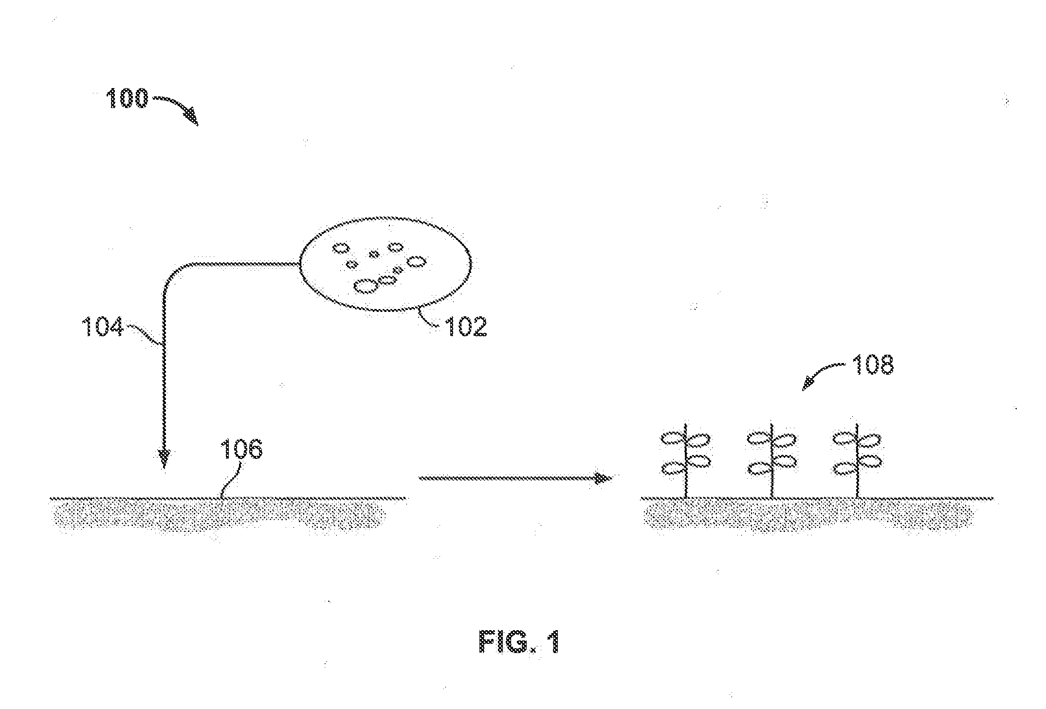 Systems and Methods for Producing Biochar-Based Products