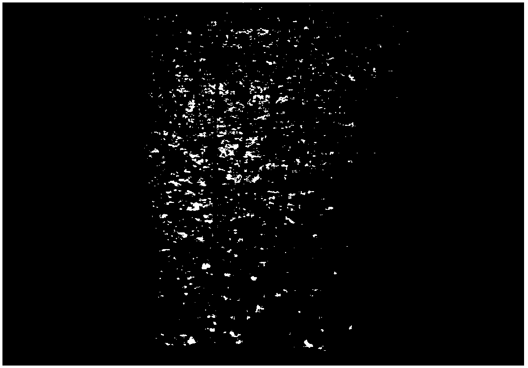 Hole metallization process of circuit board