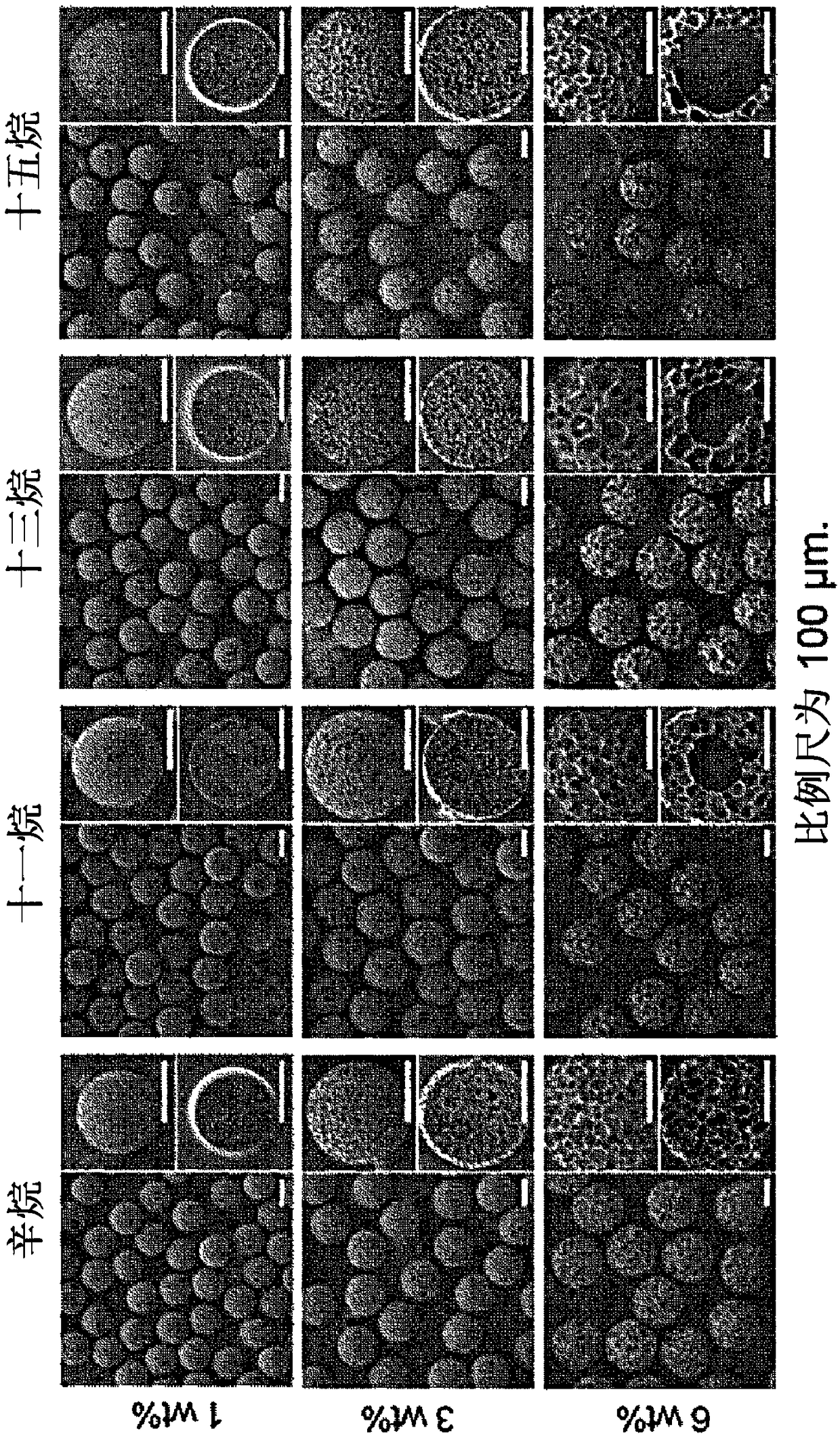 Method for producing hollow porous microspheres