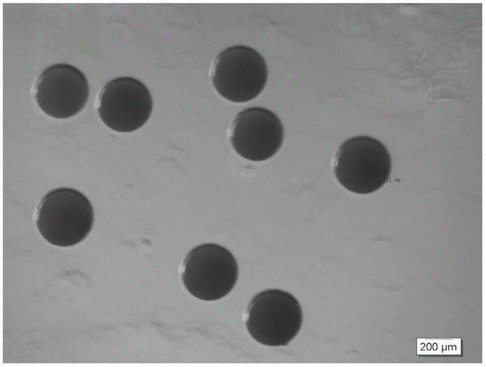 Drug sustained-release microsphere capable of being embedded in intraocular lens loop and preparation method of drug sustained-release microsphere