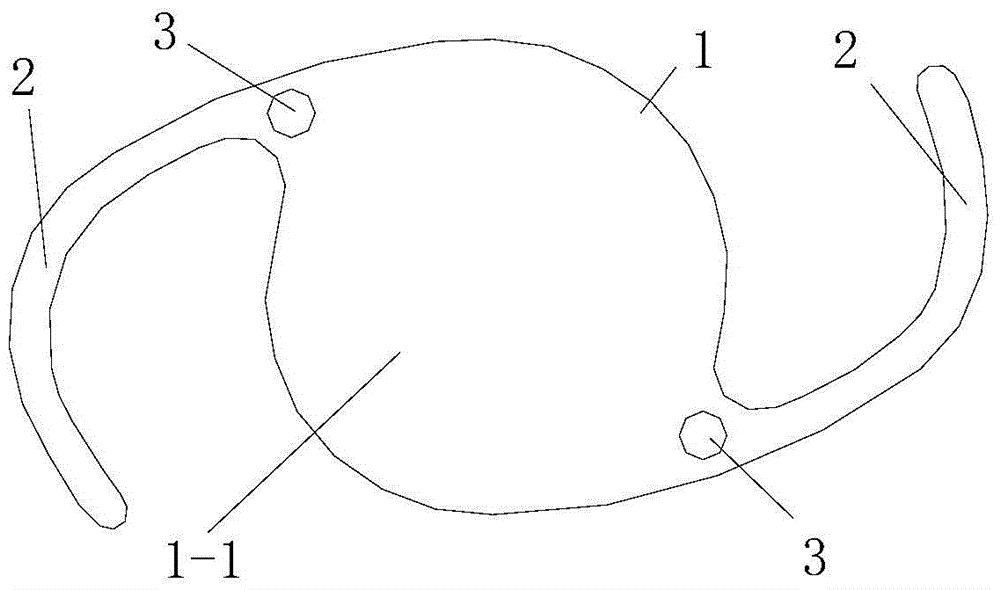 Drug sustained-release microsphere capable of being embedded in intraocular lens loop and preparation method of drug sustained-release microsphere