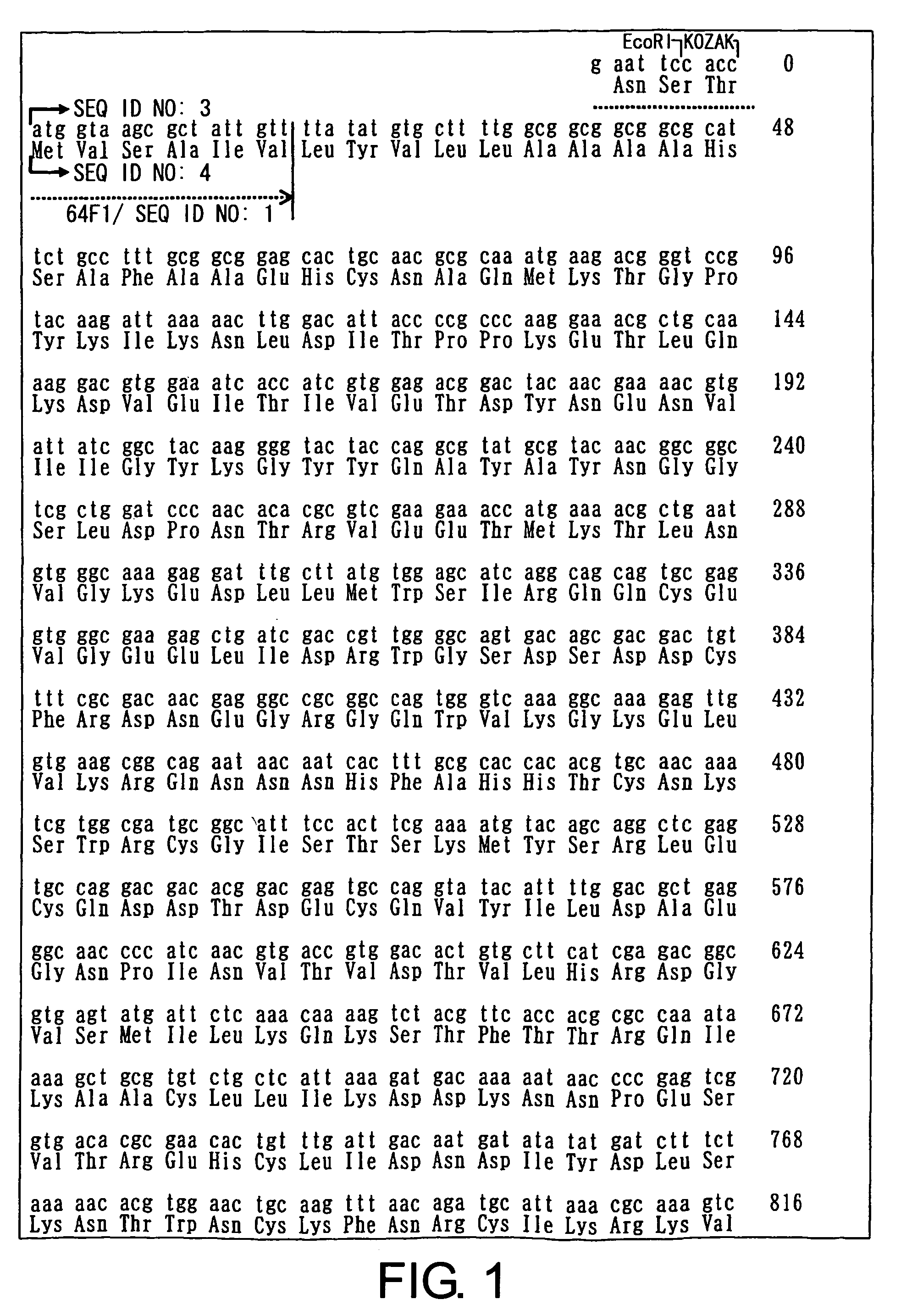 Method of constructing antibody